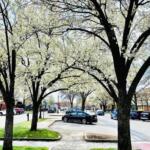 Downtown Keene