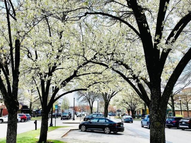 Downtown Keene