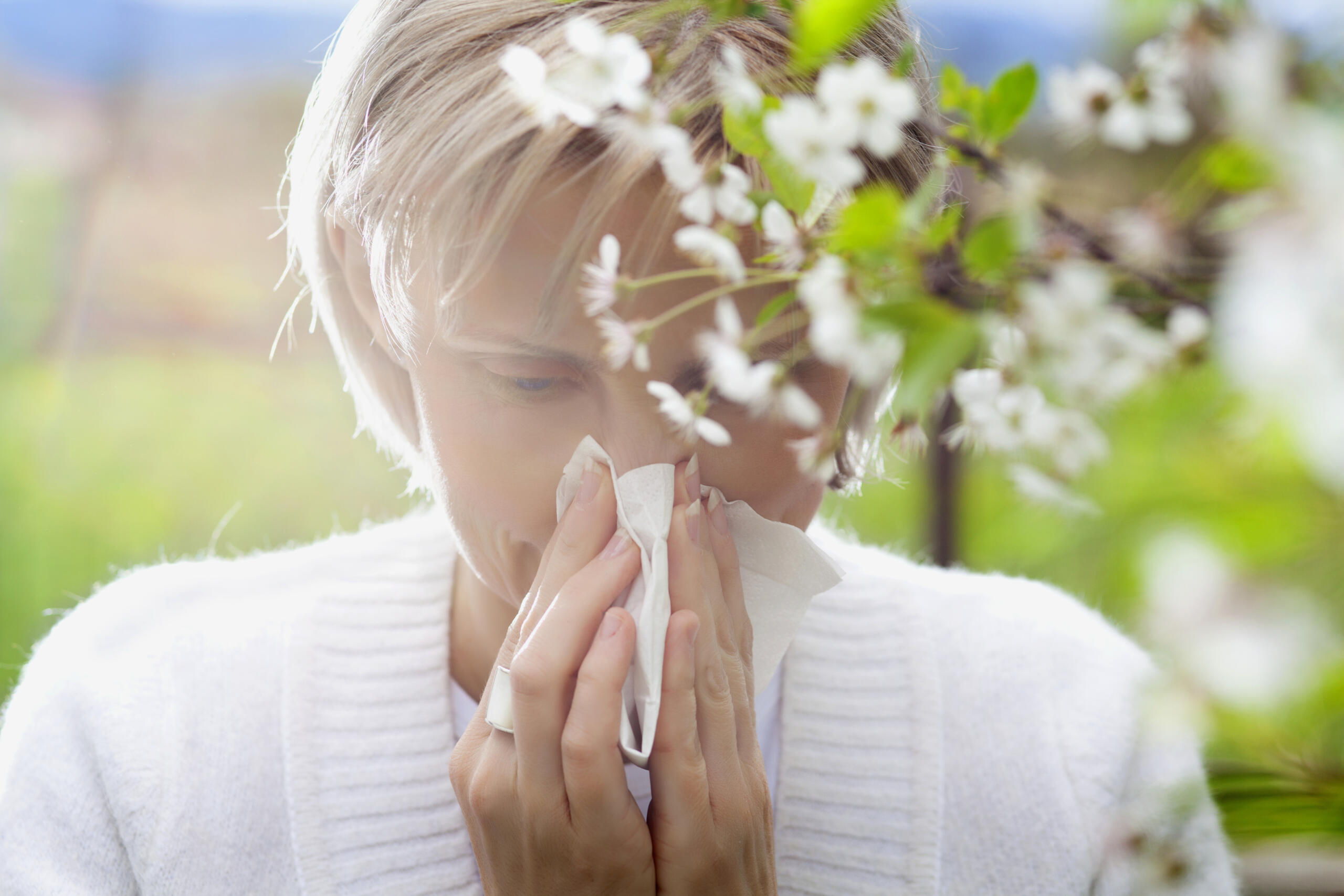 Woman blowing nose during allergy season.