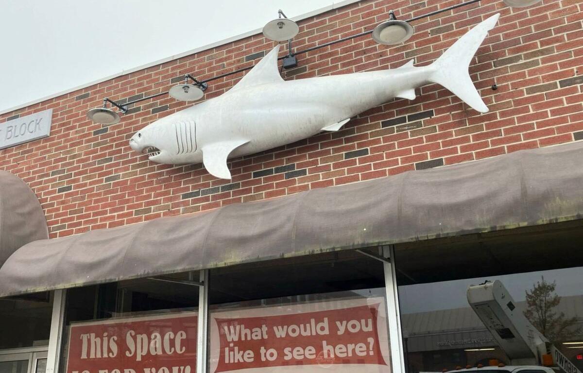 Shark sculpture