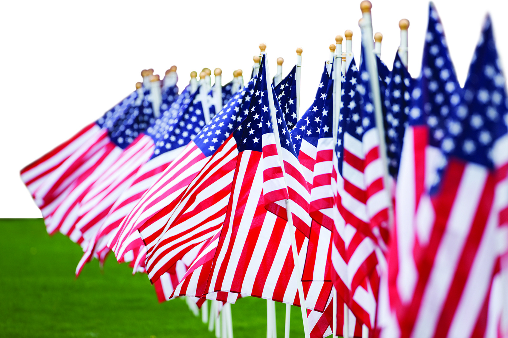 Memorial Day American flags