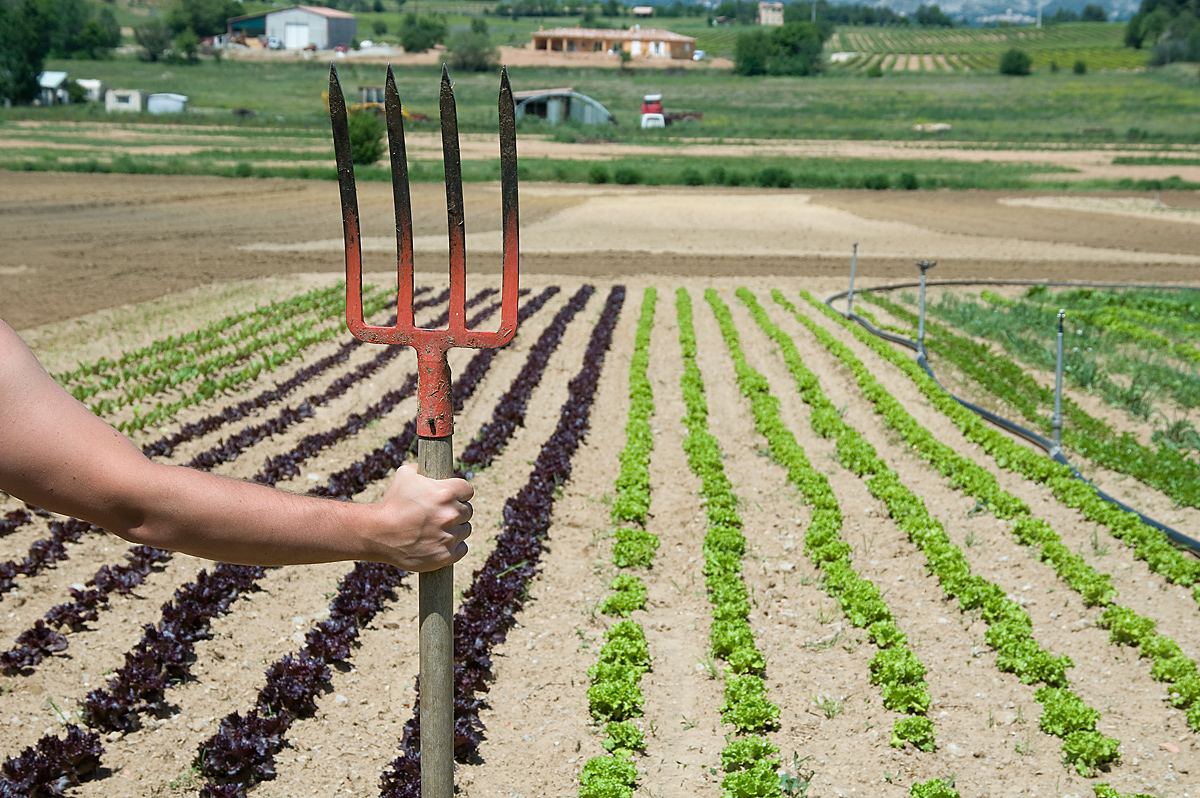 Farmer holding a pitchfork in a field