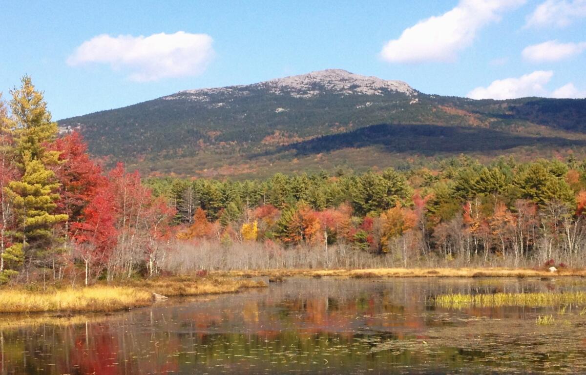 Monadnock in the fall