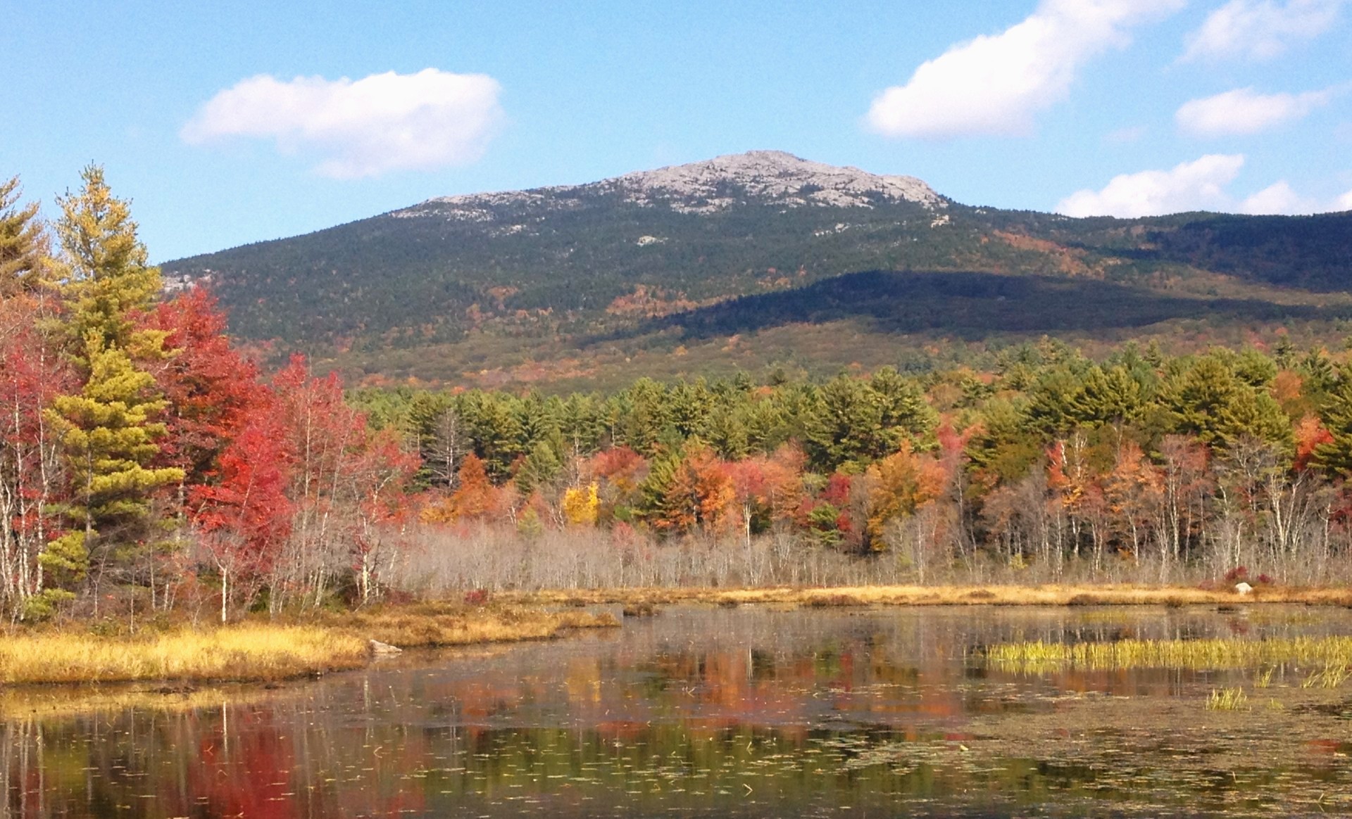 Monadnock in the fall