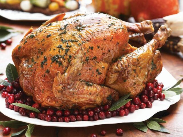 Thanksgiving turkey