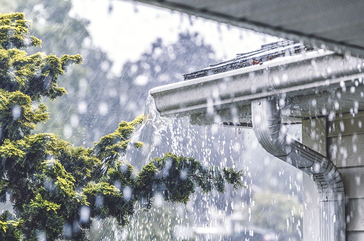 Rain gutter