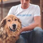 MHS director talks about dog rescue