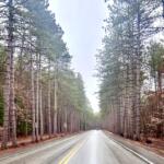 Dinsmoor Woods on Maple Avenue