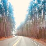 Dinsmoor Woods on Maple Ave. in Keene