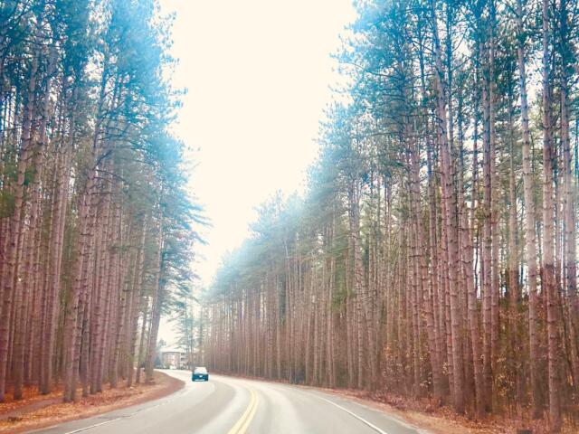 Dinsmoor Woods on Maple Ave. in Keene