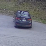Rear view of a sedan driving away on a curved road beside grass and trees.