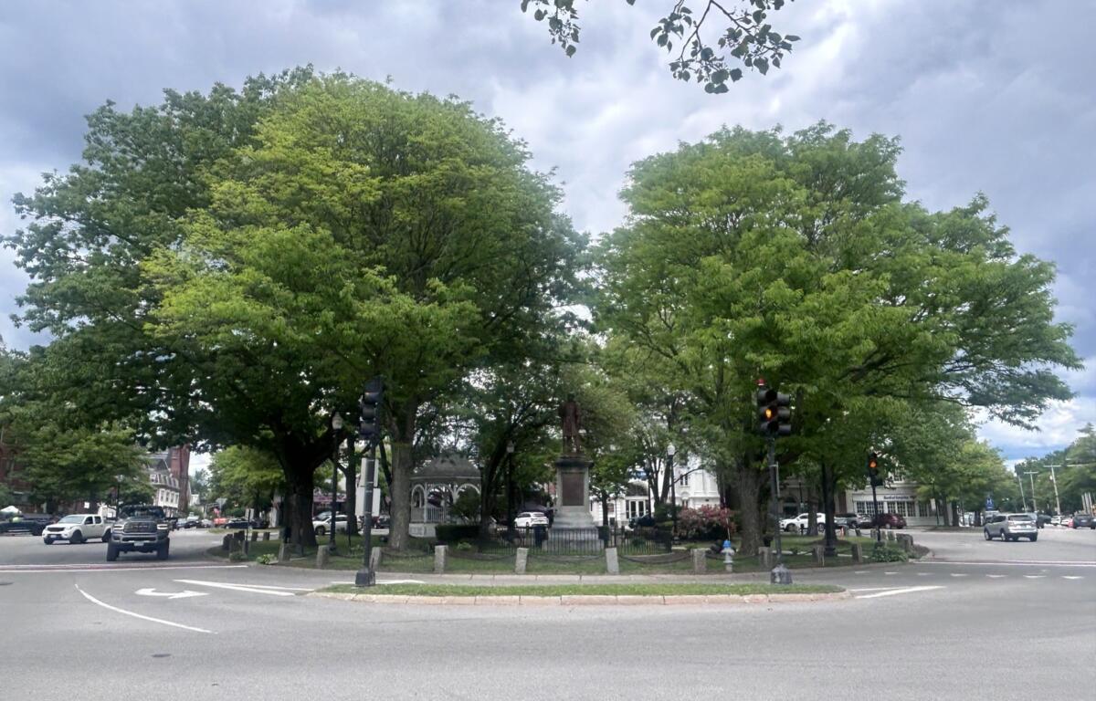 Green roundabout with a statue at the center, framed by large leafy trees and city streets around it to the sides.