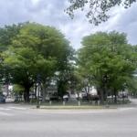 Green roundabout with a statue at the center, framed by large leafy trees and city streets around it to the sides.