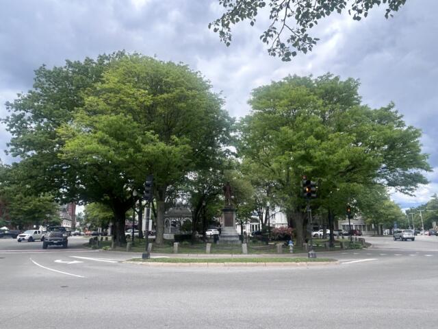 Green roundabout with a statue at the center, framed by large leafy trees and city streets around it to the sides.