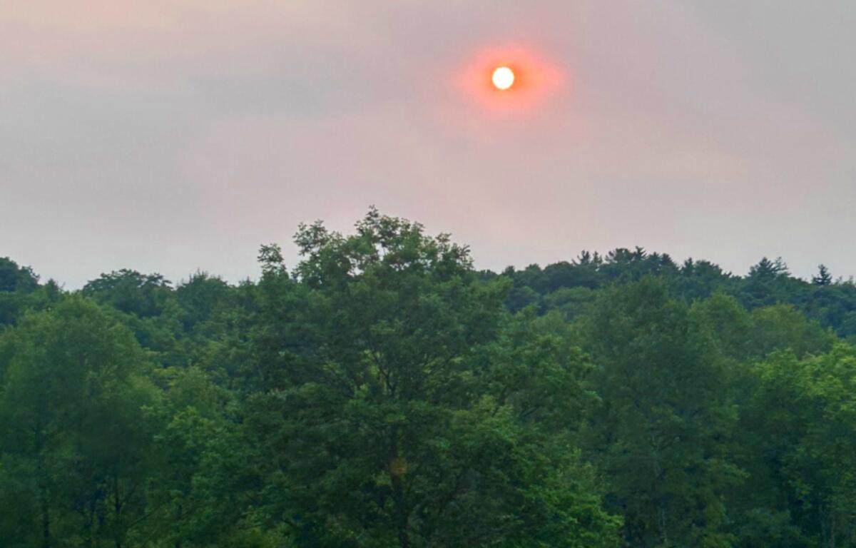Red-orange sun low in a pink, hazy sky above a green treeline and meadow.