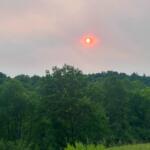 Red-orange sun low in a pink, hazy sky above a green treeline and meadow.