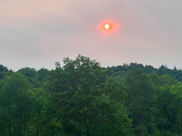 Red-orange sun low in a pink, hazy sky above a green treeline and meadow.