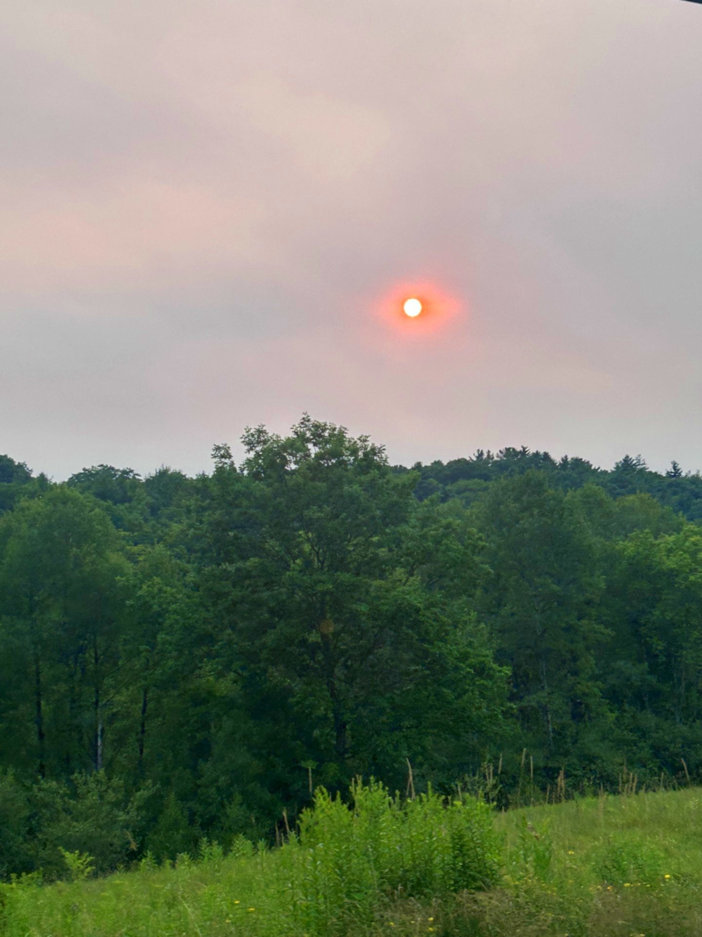Red-orange sun low in a pink, hazy sky above a green treeline and meadow.