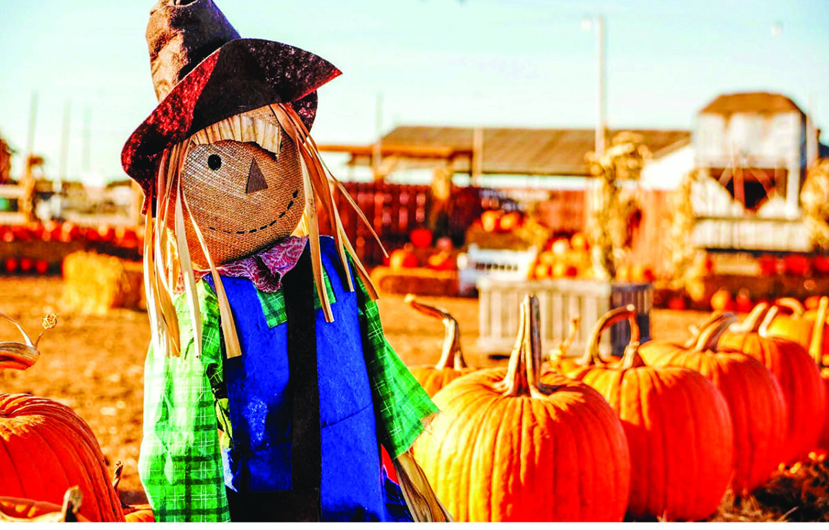 Fall festival