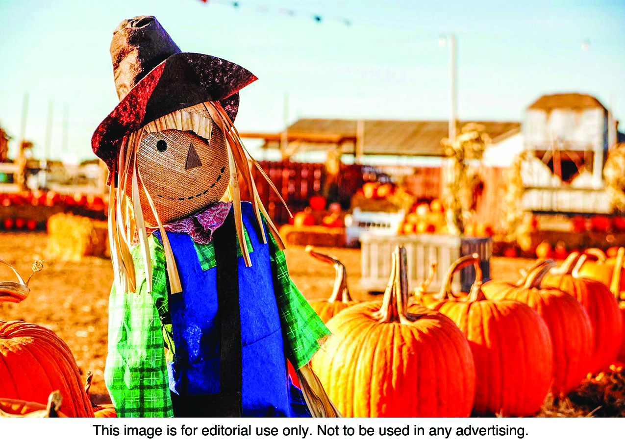 Fall festival
