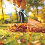 Raking leaves